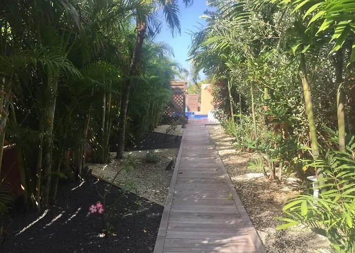 Ti paradis caché-piscine-dans quartier résidentiel